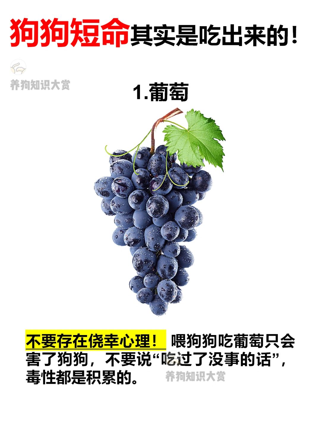 狗狗短命其实都是吃出来的🤒