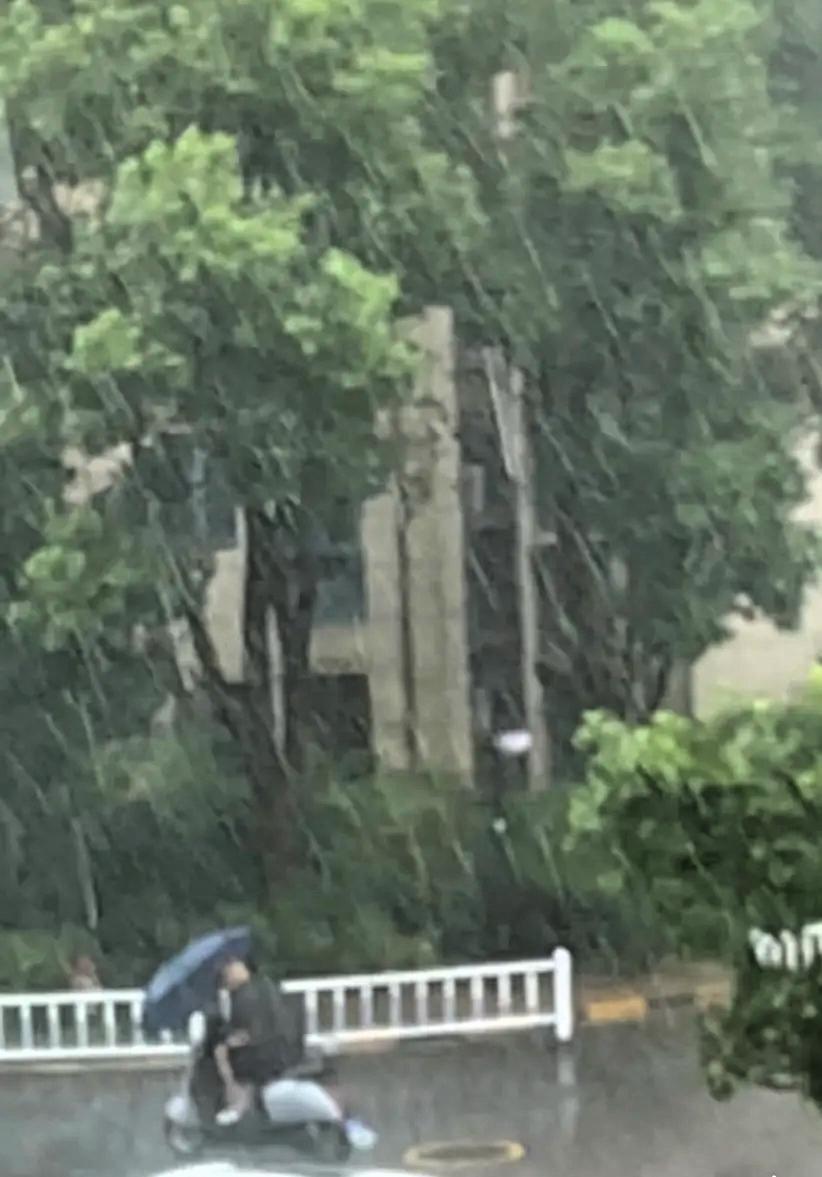 人心是杆秤，历史人民写。台风白海豚袭击南京，连续两三天大雨，城依然秩序井然，道路