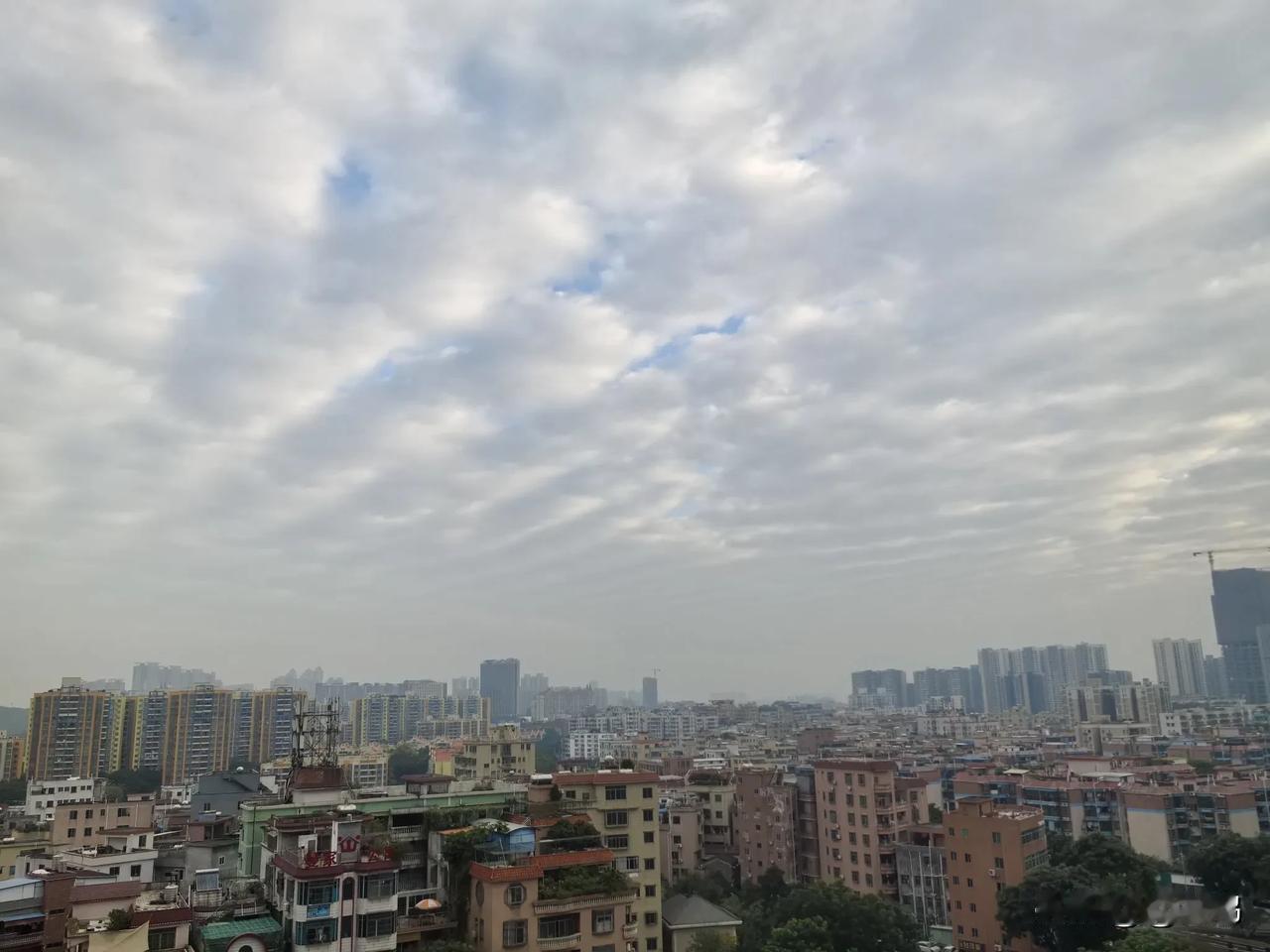 分享今天广州的天空今日早上在阳台随拍的治愈系蓝天白云，邀大家前来欣赏。祝大家晚上