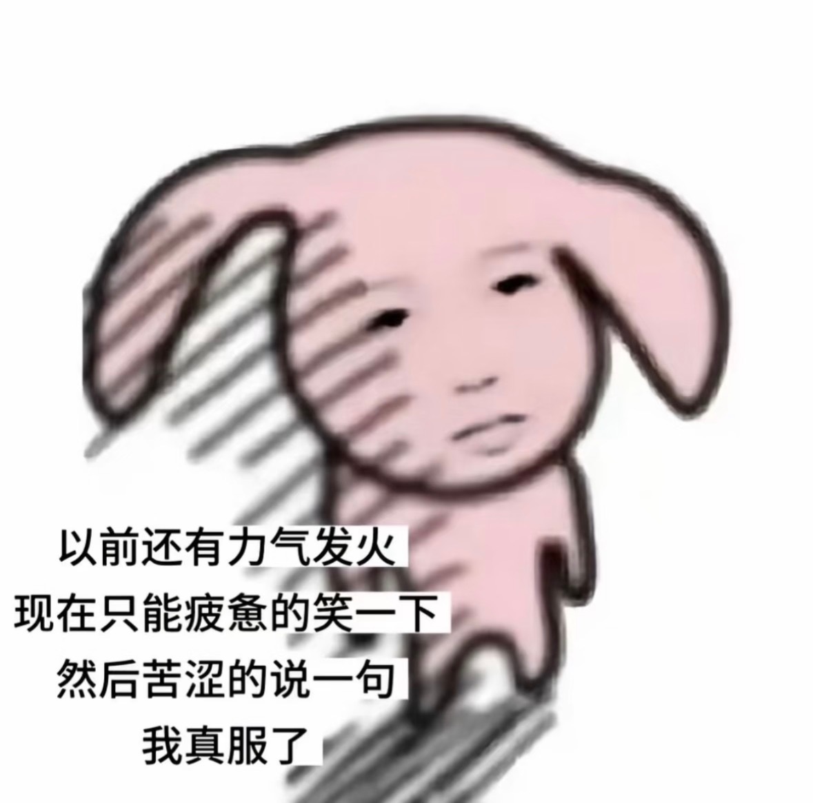 分享图片 