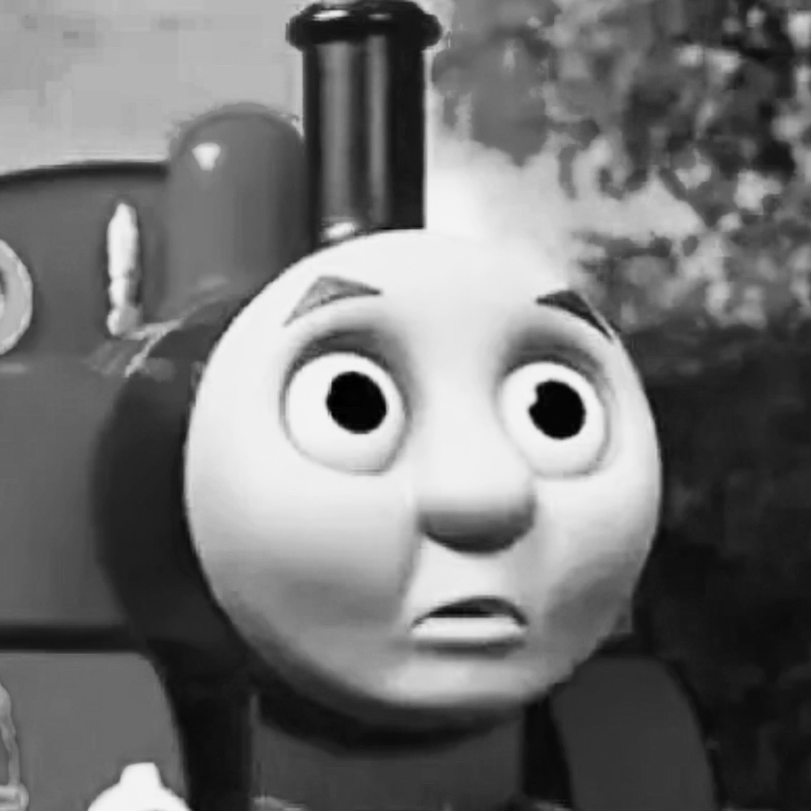 造水树播完滋滋最大的收获大概就是托马斯小火车了 