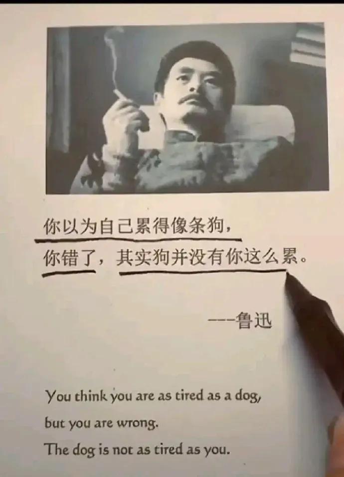 这是谁在瞎扯？鲁迅并没有说过这句话，这句话实际上出自电视剧《狂飙》中的一句经典的