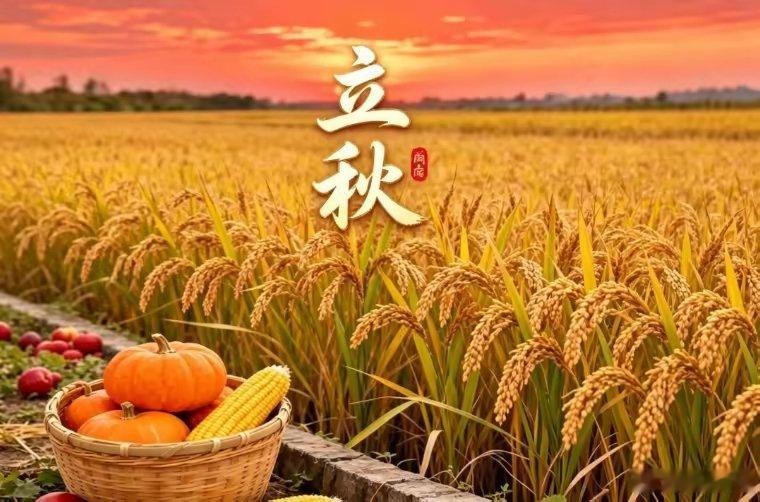 立秋虽然到了，但体感上离凉快还差着几个系统补丁。遇上今年晚立秋叠加秋包伏，好比系