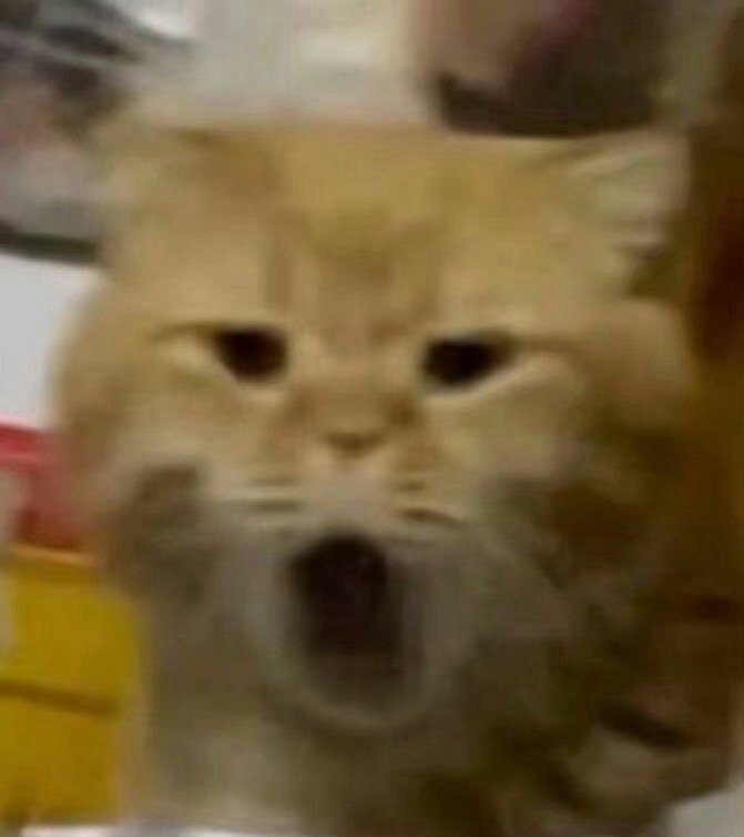 #88岁姥姥写978条网购评论预防老年痴呆#不得不说，真的很喜欢这种尊重卖家的老