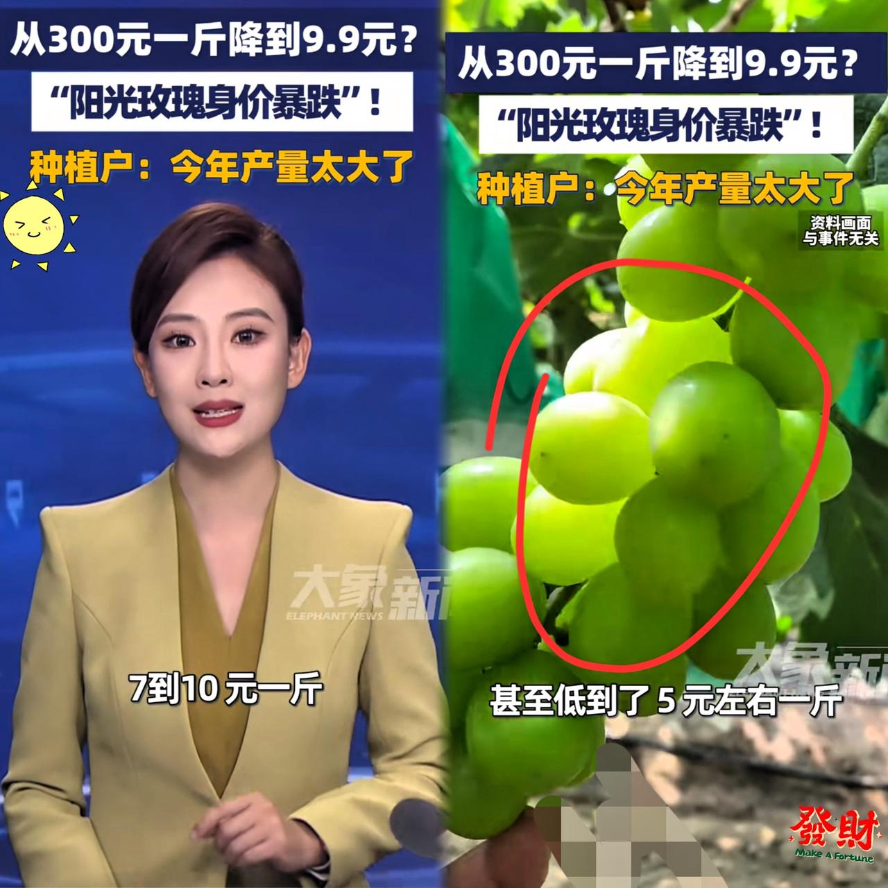日本大概很后悔把阳光玫瑰葡萄引入中国，辛苦杂交、培育了接近20年的优质品种，本想