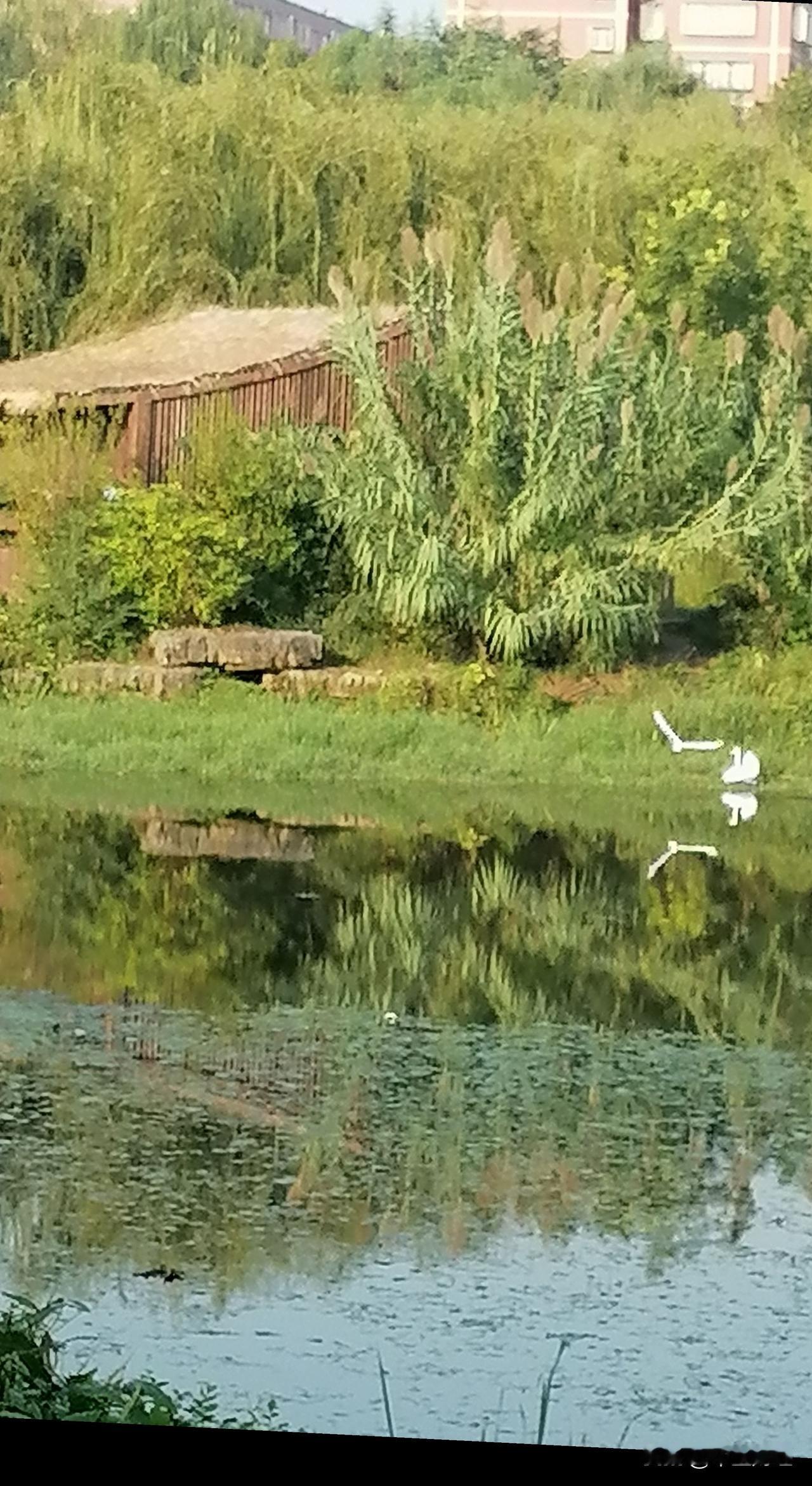 郑州贾鲁河畔！