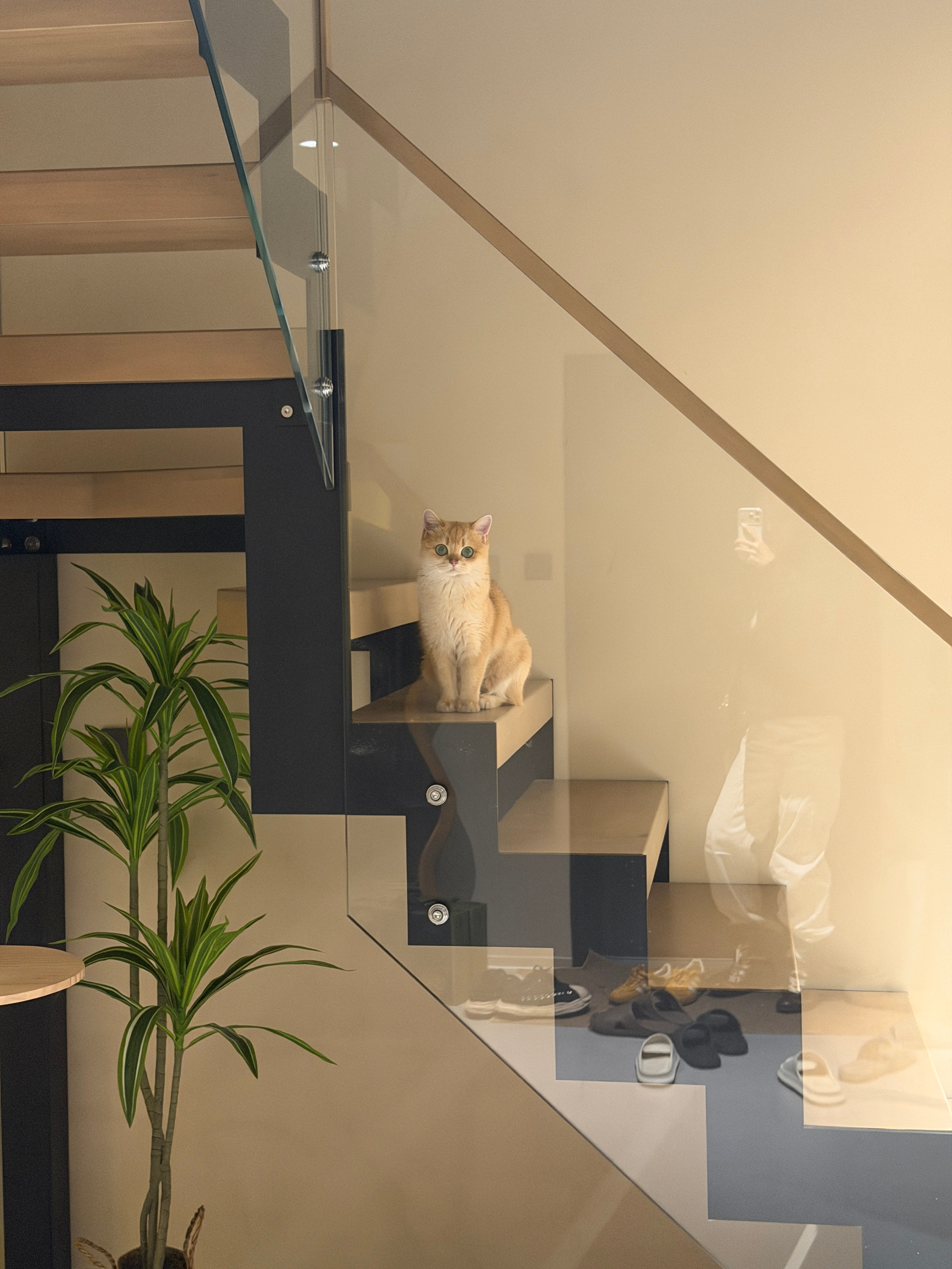 出发前小家伙总这么看着你，这谁忍心出差啊