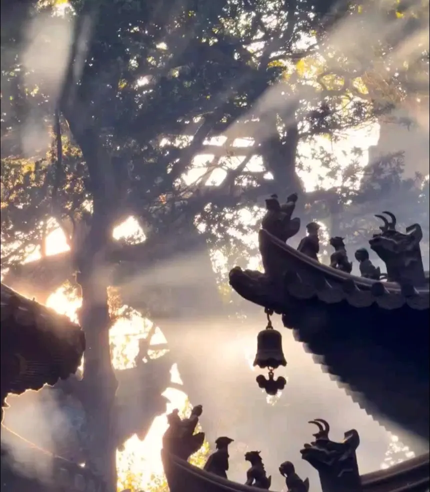 别让任何人霸凌你，就像马斯克 说的我不介意被人讨厌，渴望被人喜欢才是弱...