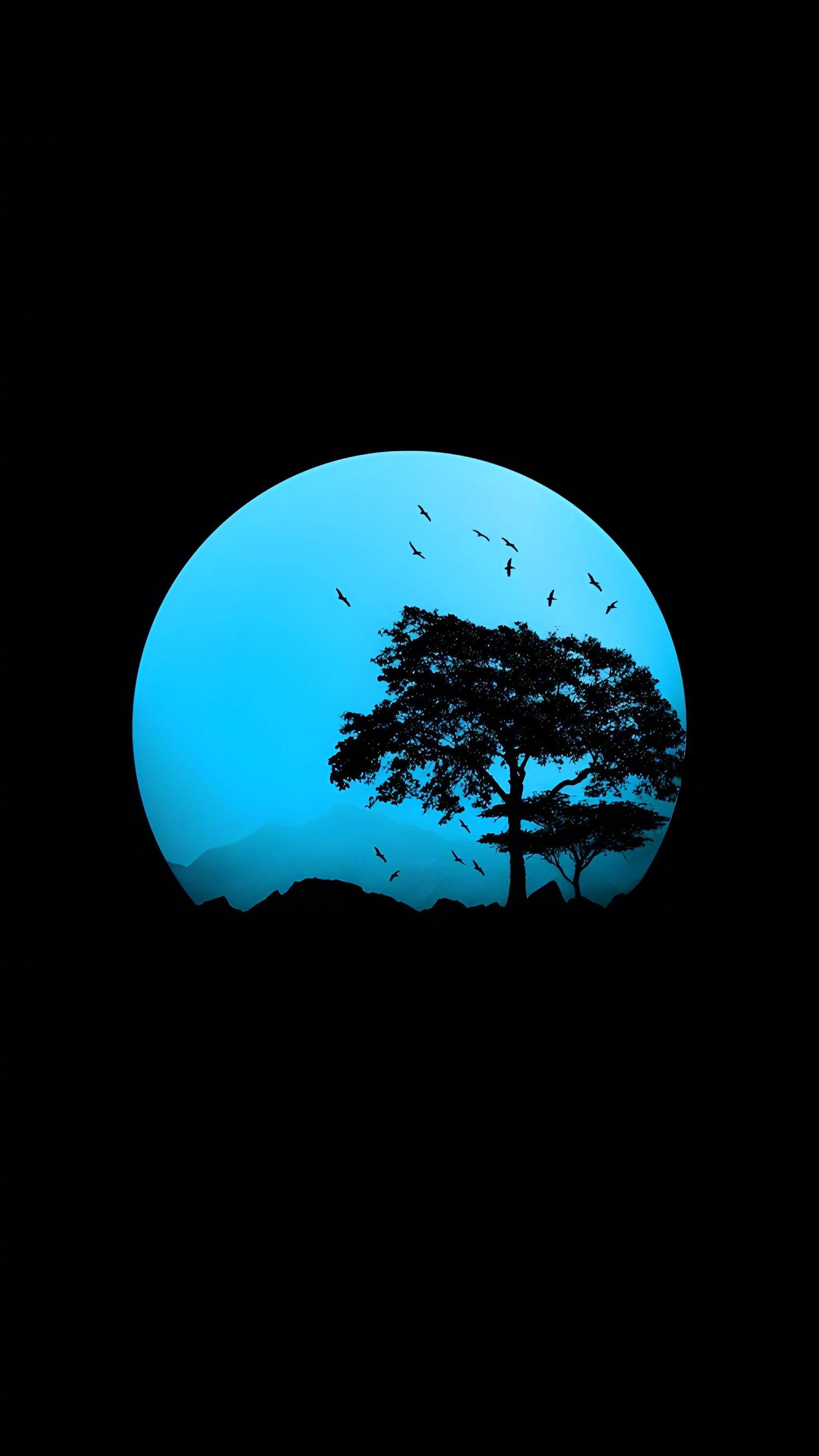分享图片 