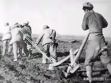 老农民肺腑之言：分田到户是伟大的决策，大锅饭被推翻是必然的。
 
村头的老槐树下