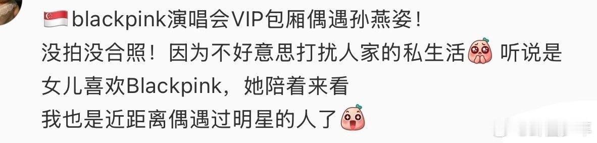 孙燕姿去看BLACKPINK演唱会BLACKPINK演唱会Day2天降彩蛋！近距