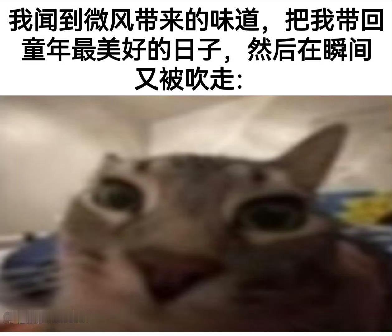  ​​​