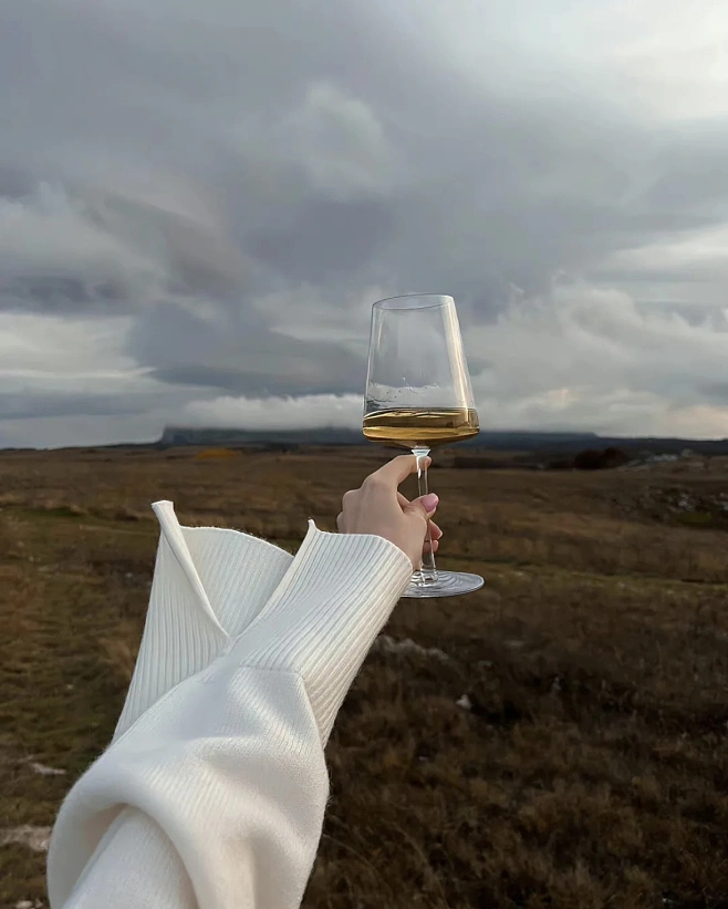 分享最近《暗黑荣耀》中我很喜欢的这段台词：“这个世界太乱太糟， 你现在唯一能做的