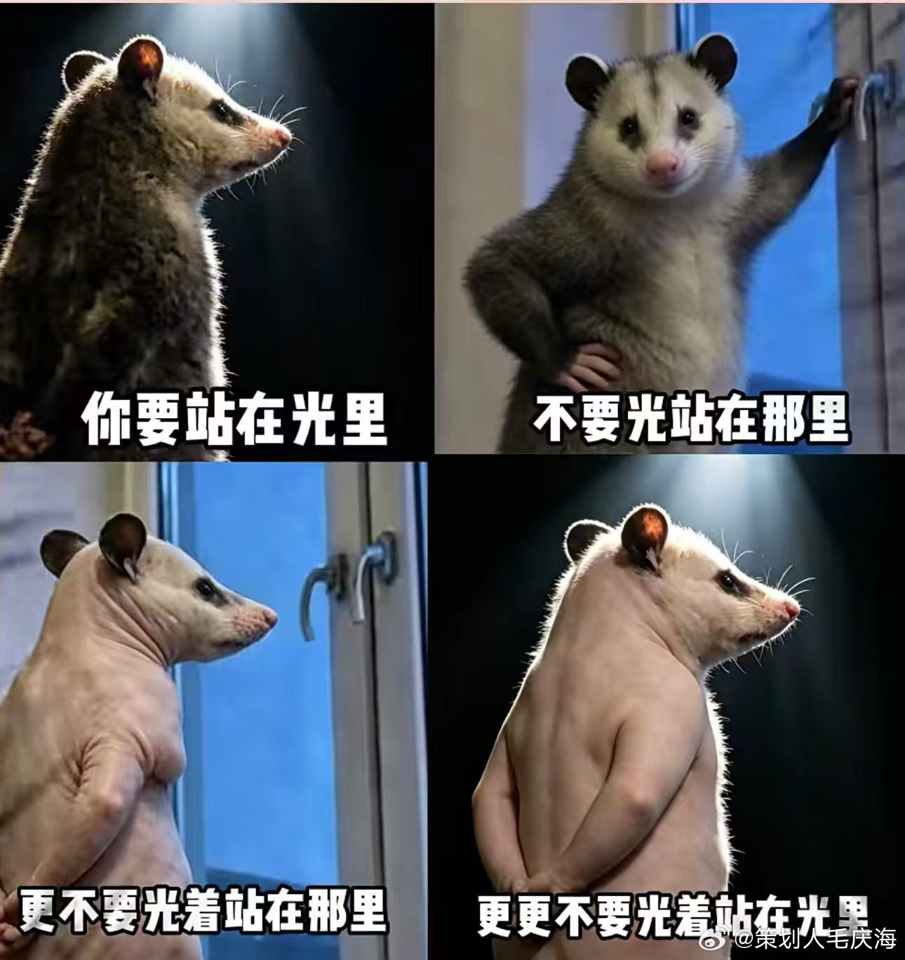 中华文字，博大精深。 