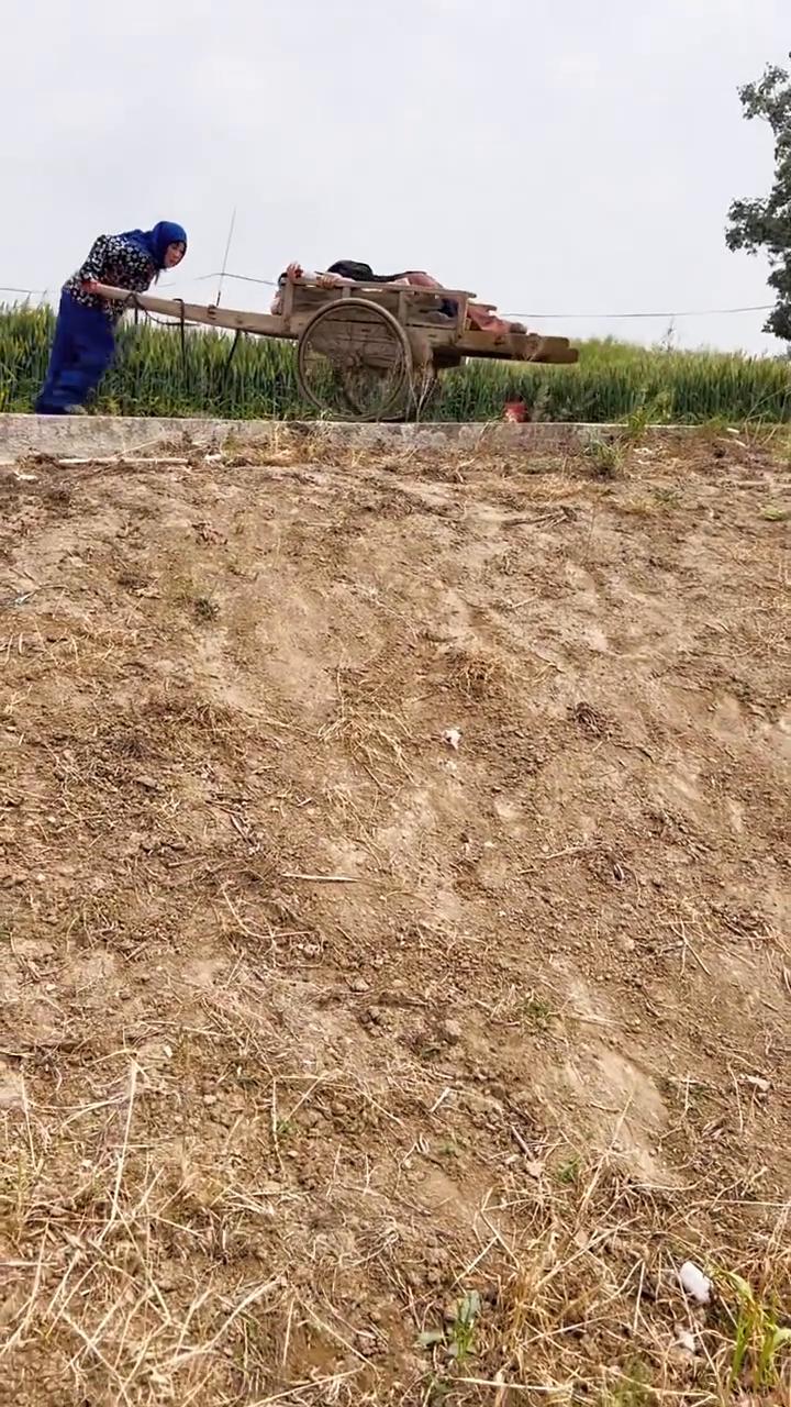 我的爱，我爱你。