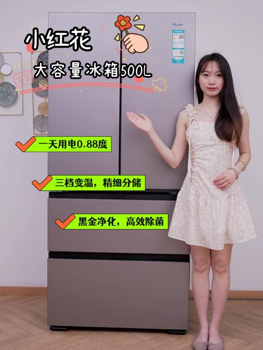 500L大容量冰箱，省电款性价比推荐！