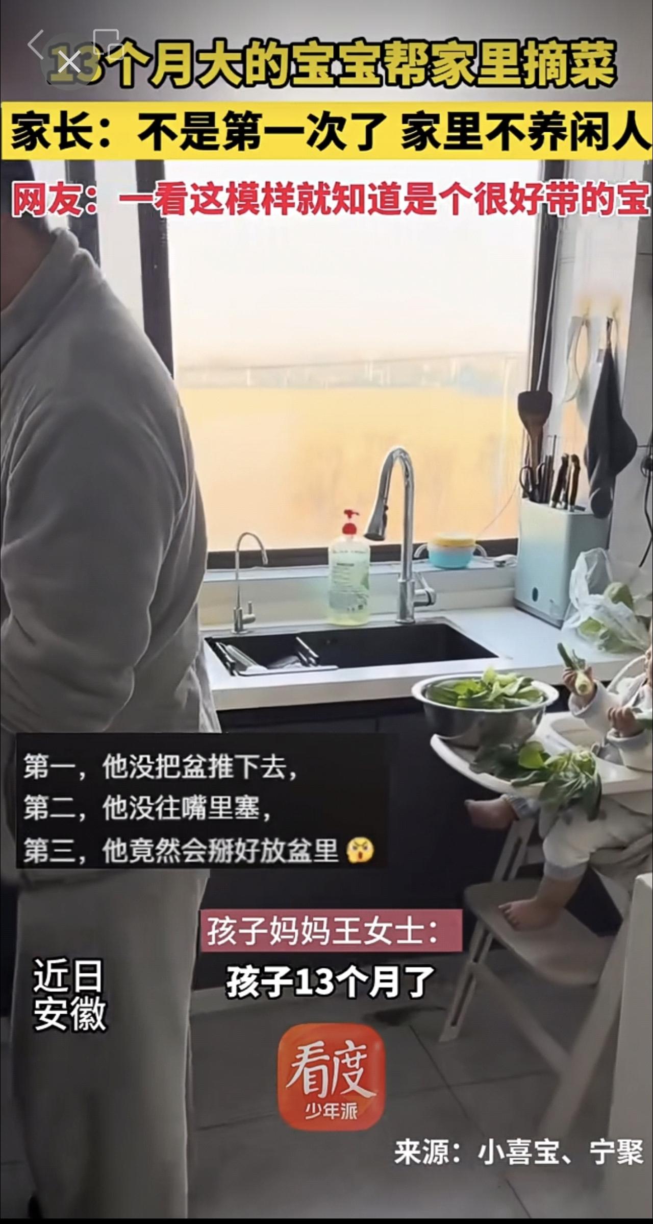 13个月大的宝宝帮家里摘菜
家长:不是第一次了   家里不养闲人
网友:一看这模