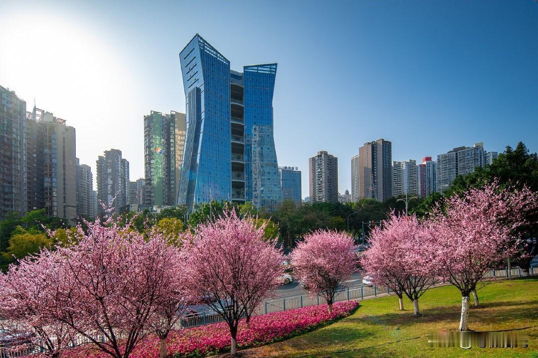 法治护航 优势凸显：重庆建设西部金融中心底气何在
 
据媒体报道，《重庆市地方金