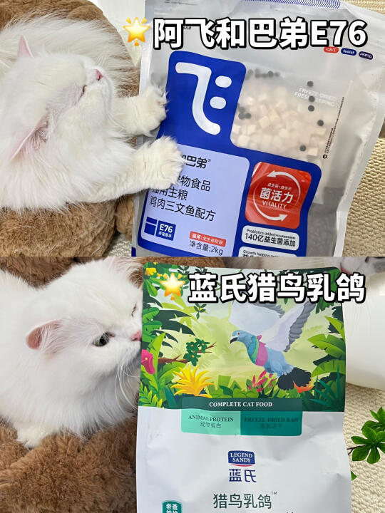 阿飞和巴弟VS蓝氏猫粮，真实喂养后的真心话