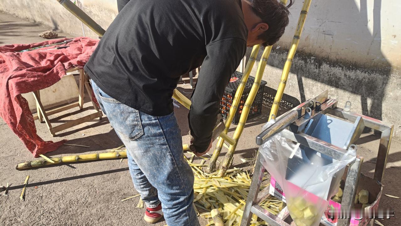 今天在昆明经开区倪家营菜市场买了一根甘蔗10元，挑了一根大的。削皮的时候发现中间