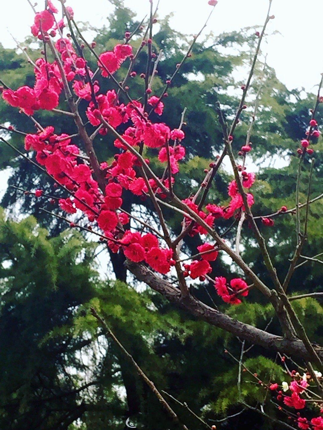 生活点滴  晨读：丰富自己，胜过取悦别人。早安！人生记录