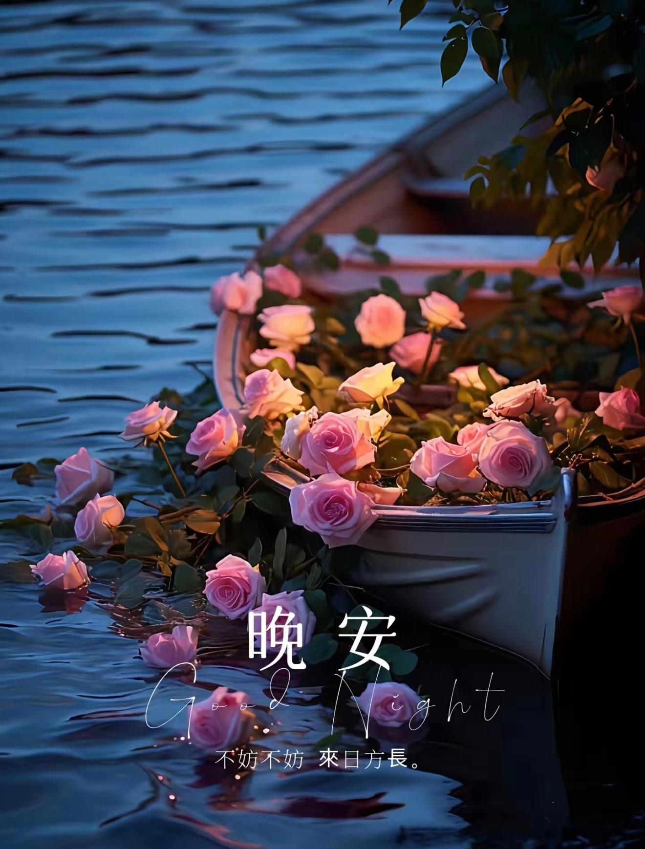 晚安 风波暂且落幕，长夜归于平静。我还在，晚安！ 