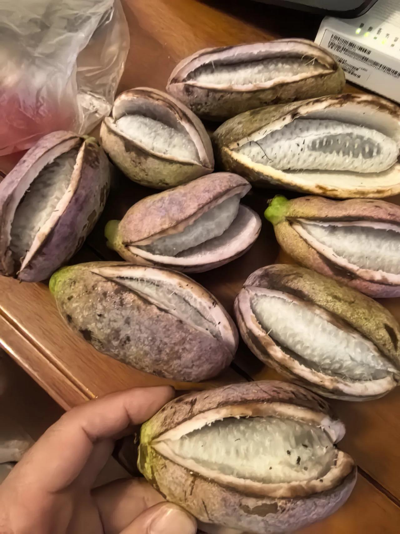 八月炸，见过没？见过没？
八月炸熟了皮就自然炸开了，露出里面的果肉，软软的，甜甜