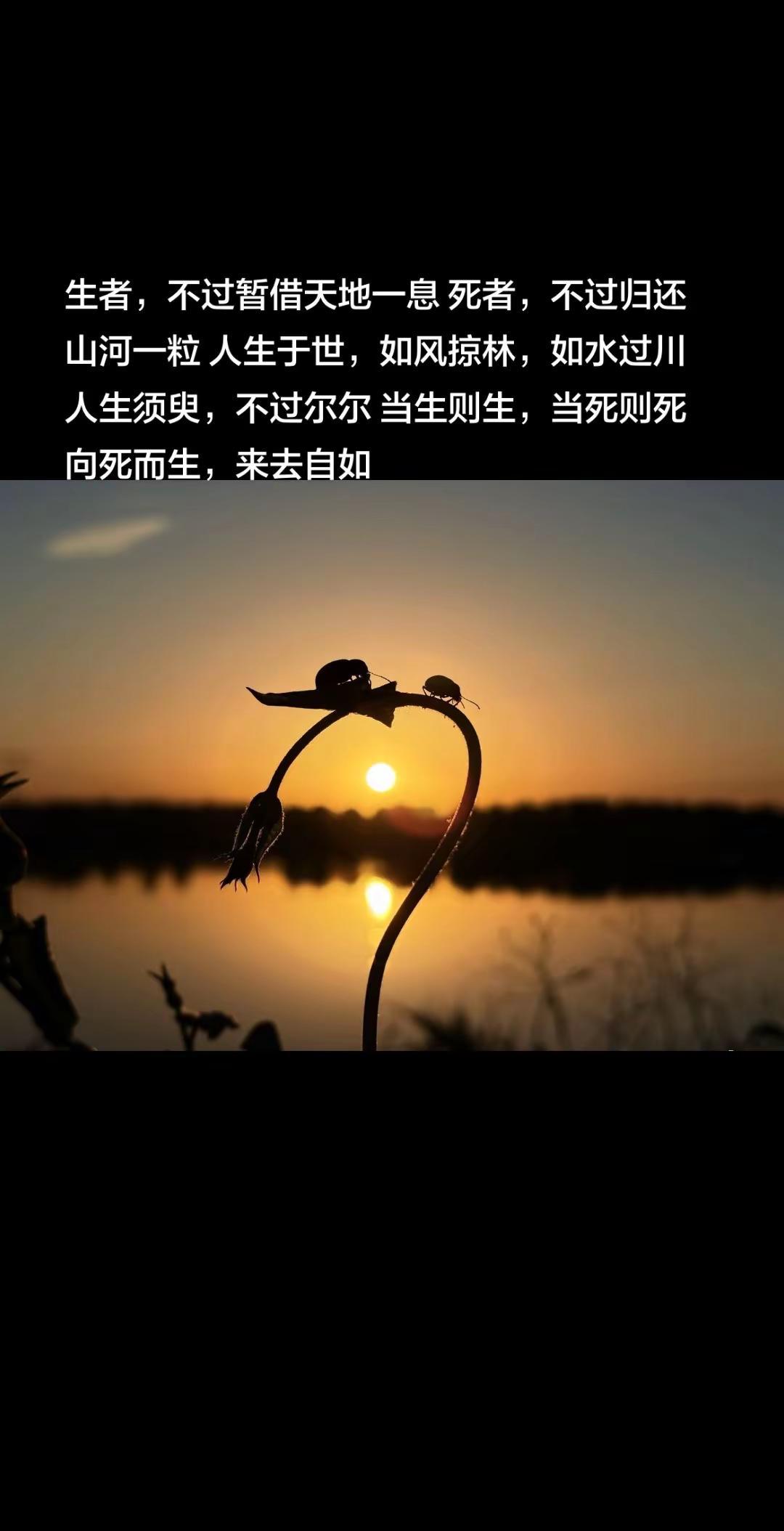 生者，不过暂借天地一息 死者，不过归还山河一粒 人生于世，如风掠林，如水过川人生