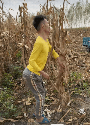 这个姿势拿捏的，比干活还累吧![可爱]