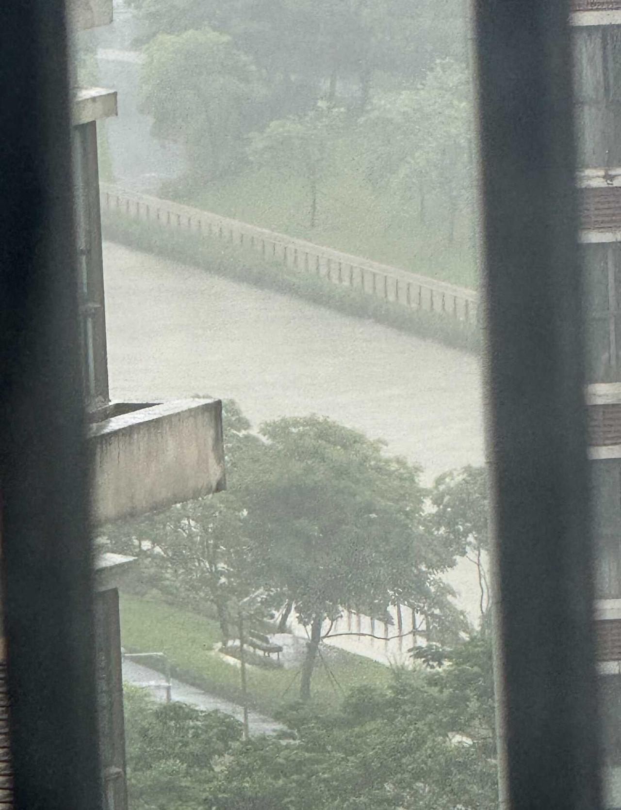 深圳香港这个季节天气好差
之前说新加坡潮湿
每次回大湾区晴天干燥还不错
网友说广