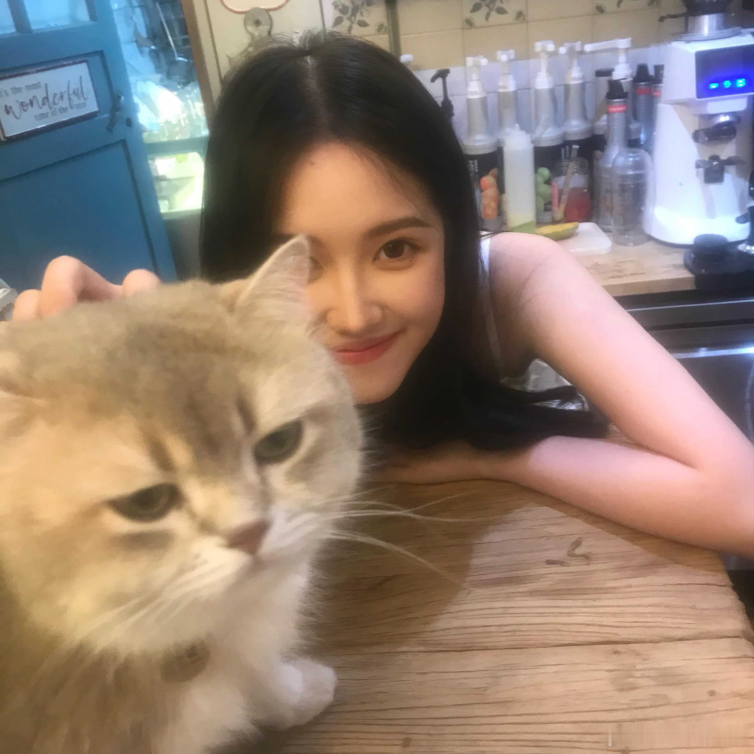 🐱今日欣闻尽兴生活 ​​​