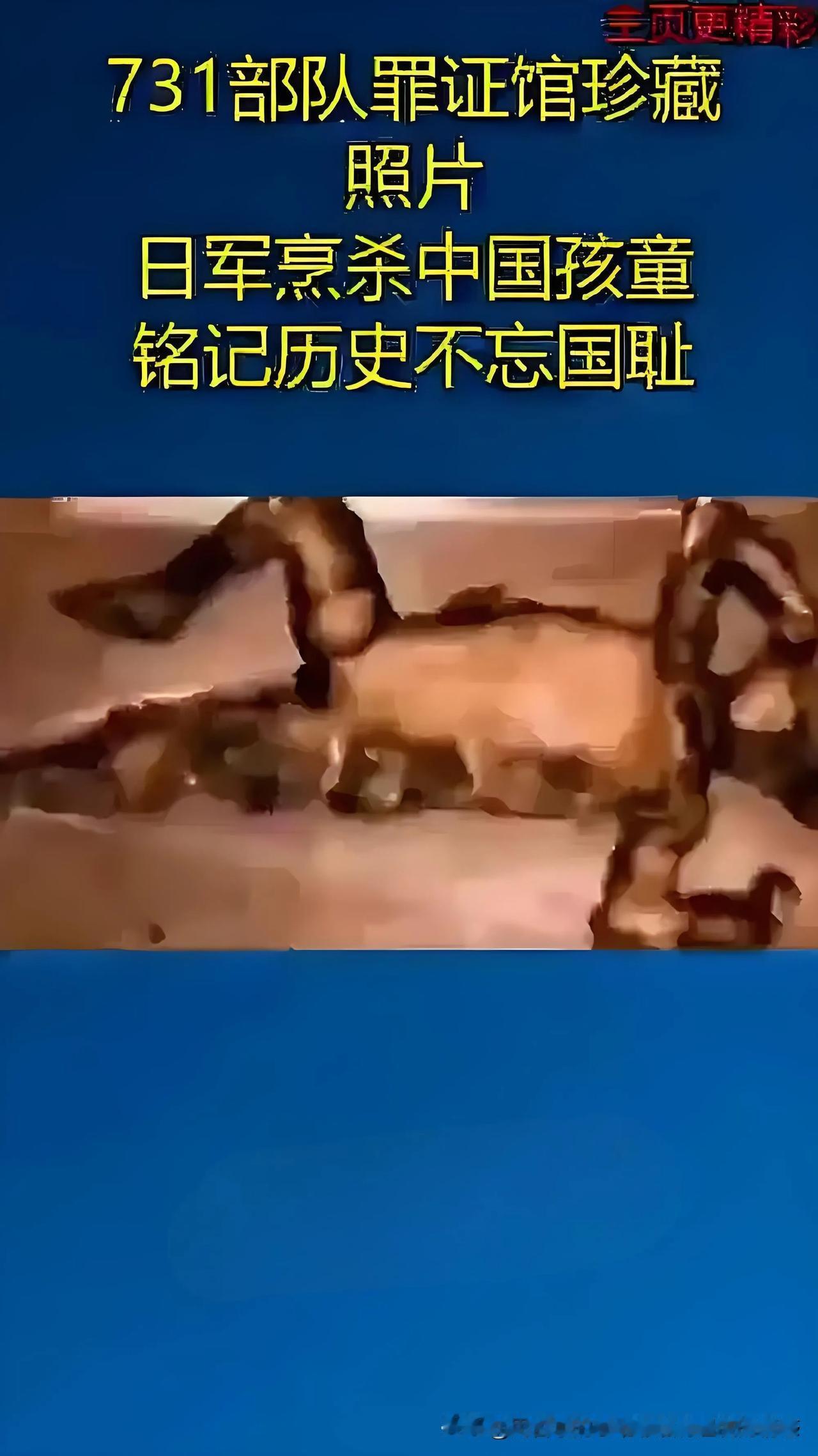 日本网友对《南京照相馆》的道歉态度存在分化，部分人展现出真诚反思，但也有人迫于压