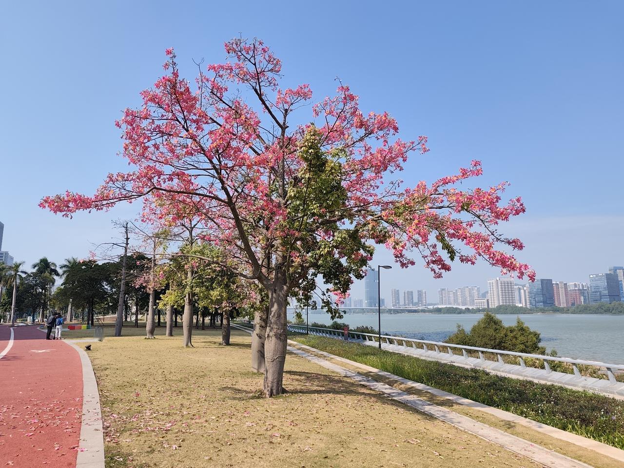 广州南沙横沥灵山岛尖风景真的太好，非常适合一家老少露营野餐！

广州南沙横沥灵山