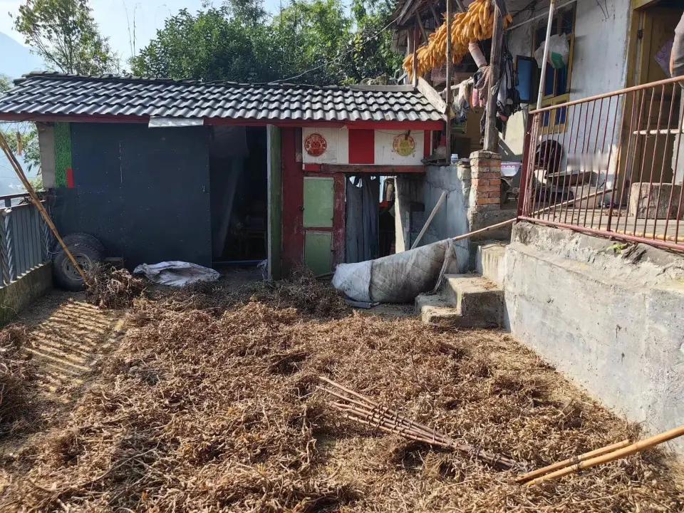 突发：大黑熊突然袭击，妻子受重伤，丈夫持大斧击杀大黑熊
这年头，人和野生动物的边