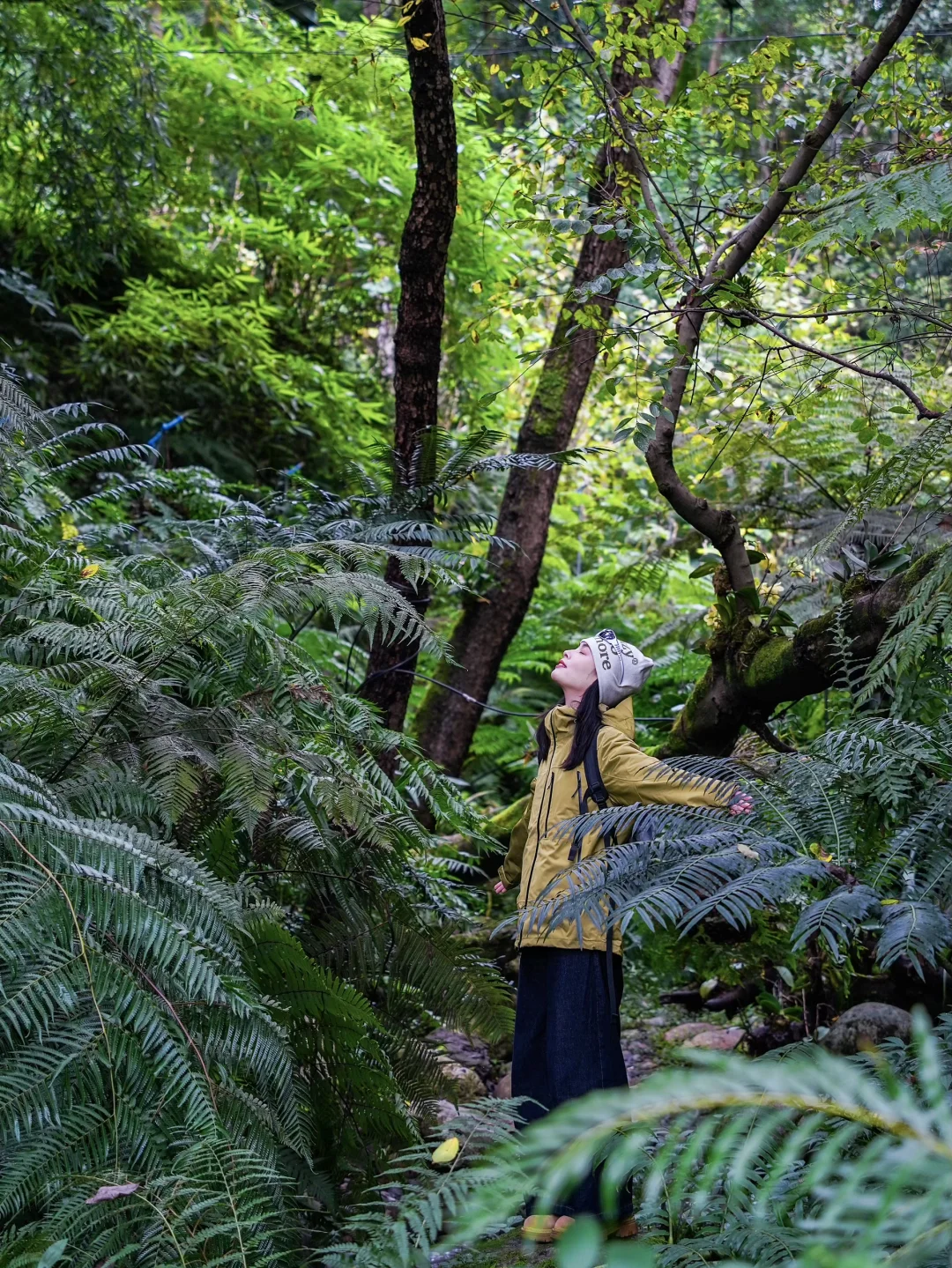在成都！！唯一想去无数次的森林公园！！！