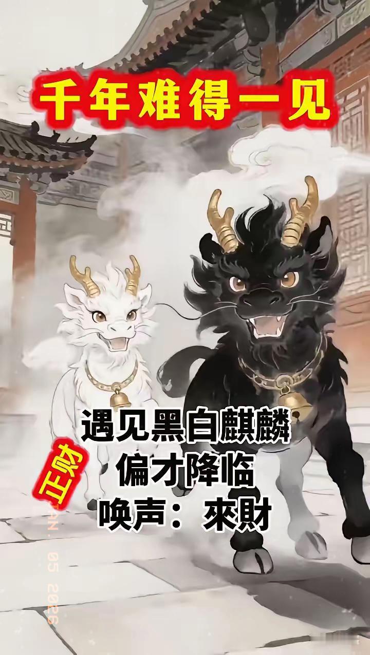 千年难遇的黑白麒麟，刷到就是财运要爆棚的信号！

老辈人说这祥瑞招财可不是空谈，