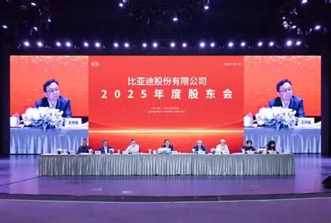 2026 年 6 月 9 日比亚迪股东大会问答核心总结本次是比亚迪历史上参会人数