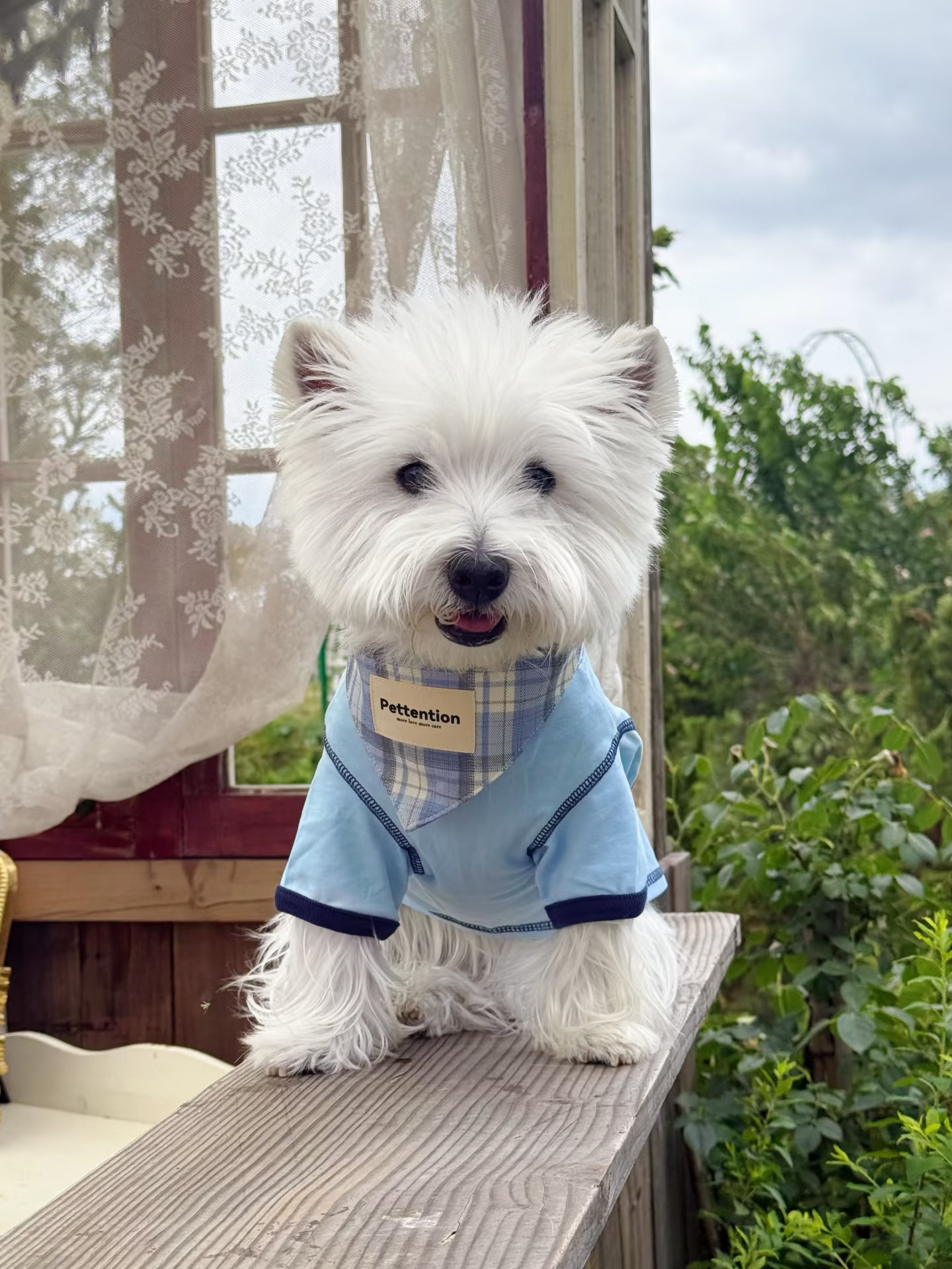 左滑看看我的小斗和我像吗🤔