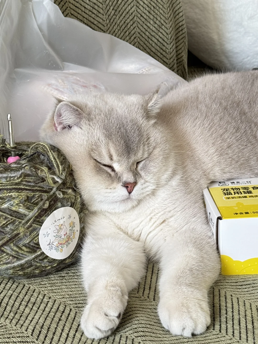 跟玩具和好吃的挤挤睡