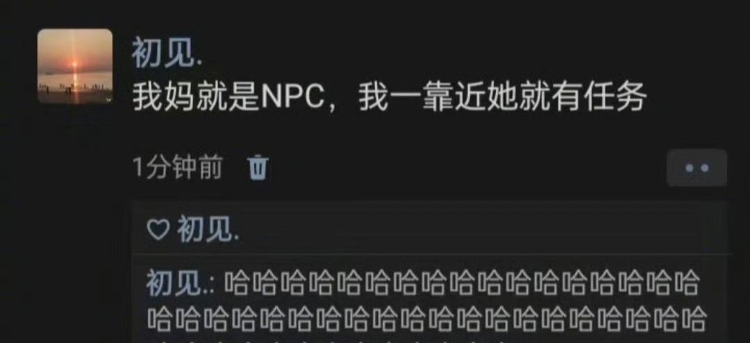 我妈就是npc..... ​​​