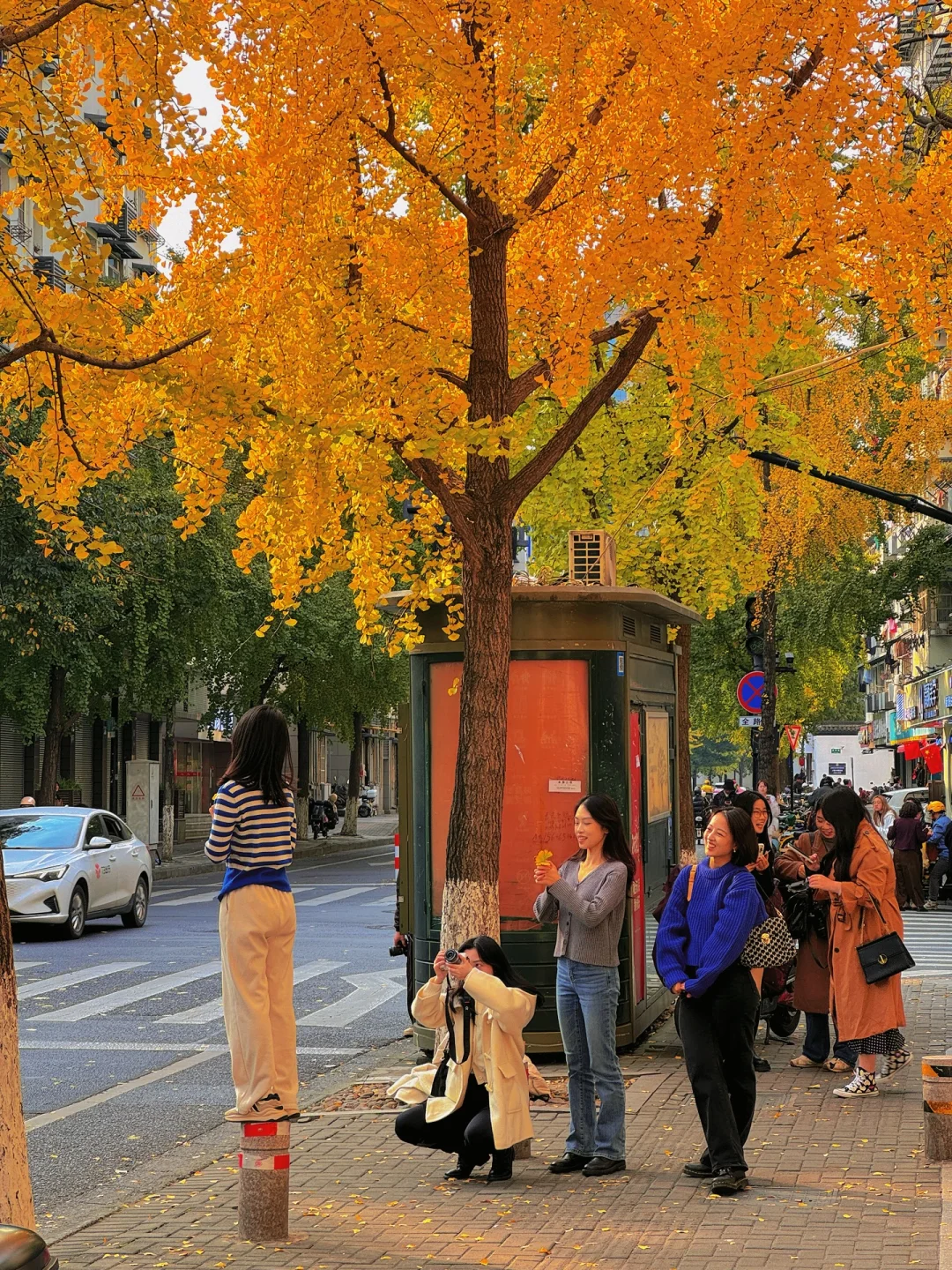 11.24实况❗️杭州清吟街的银杏已经黄了🍂