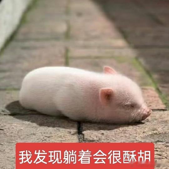 我复习不到一单元真的很想睡觉，太催眠了🦭🦭🦭 