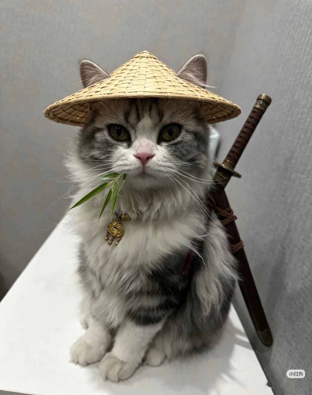？救命 