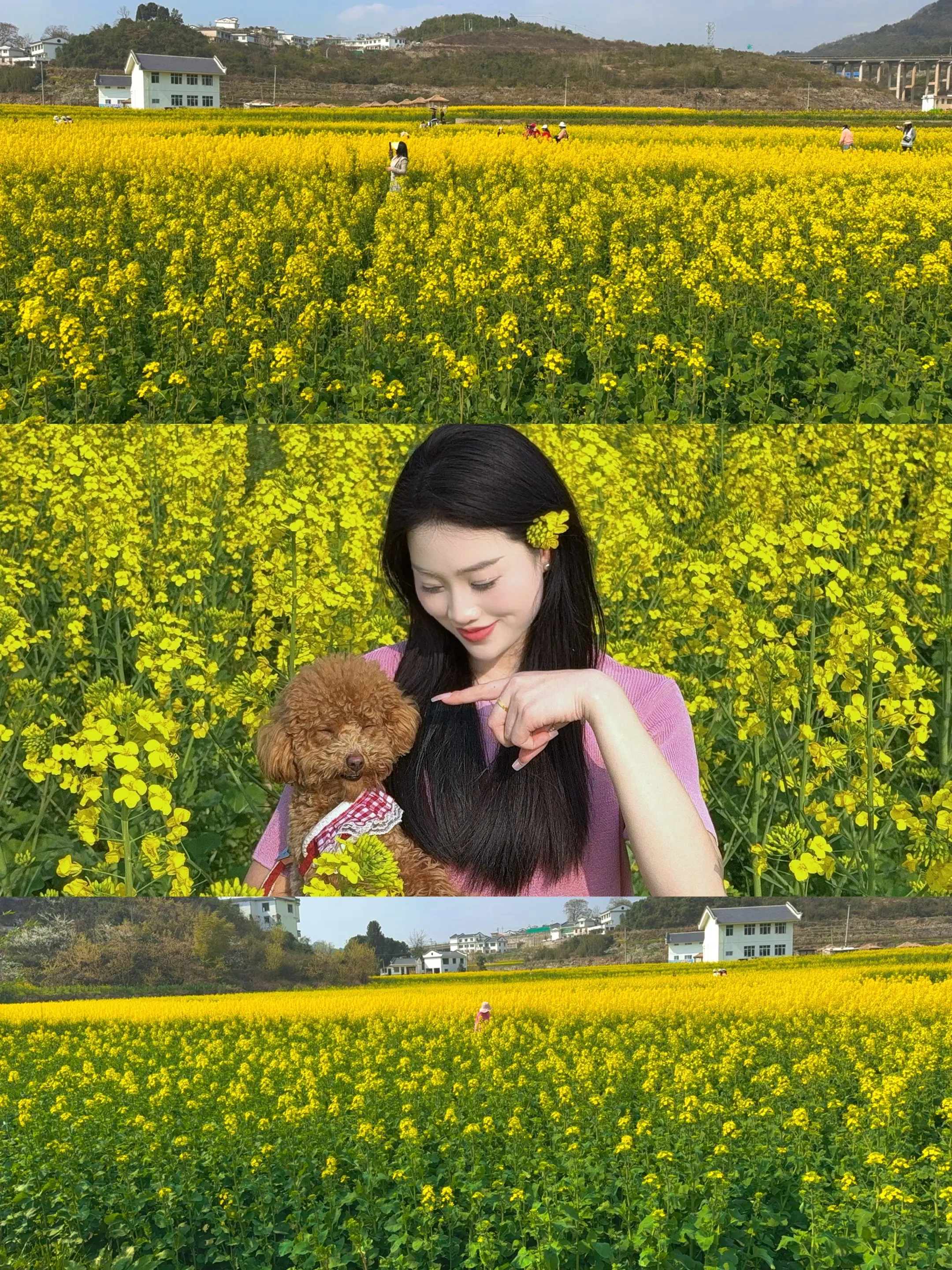 花～开在太阳下～