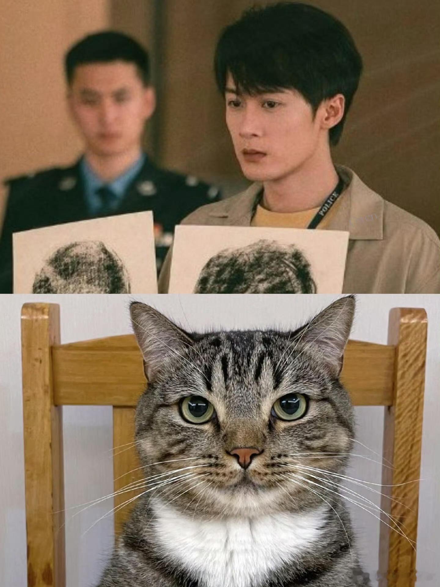 第一个猫塑周翊然的人是天才🥹温柔猫系少年代名词！周翊然神态软萌、气质干净，猫塑