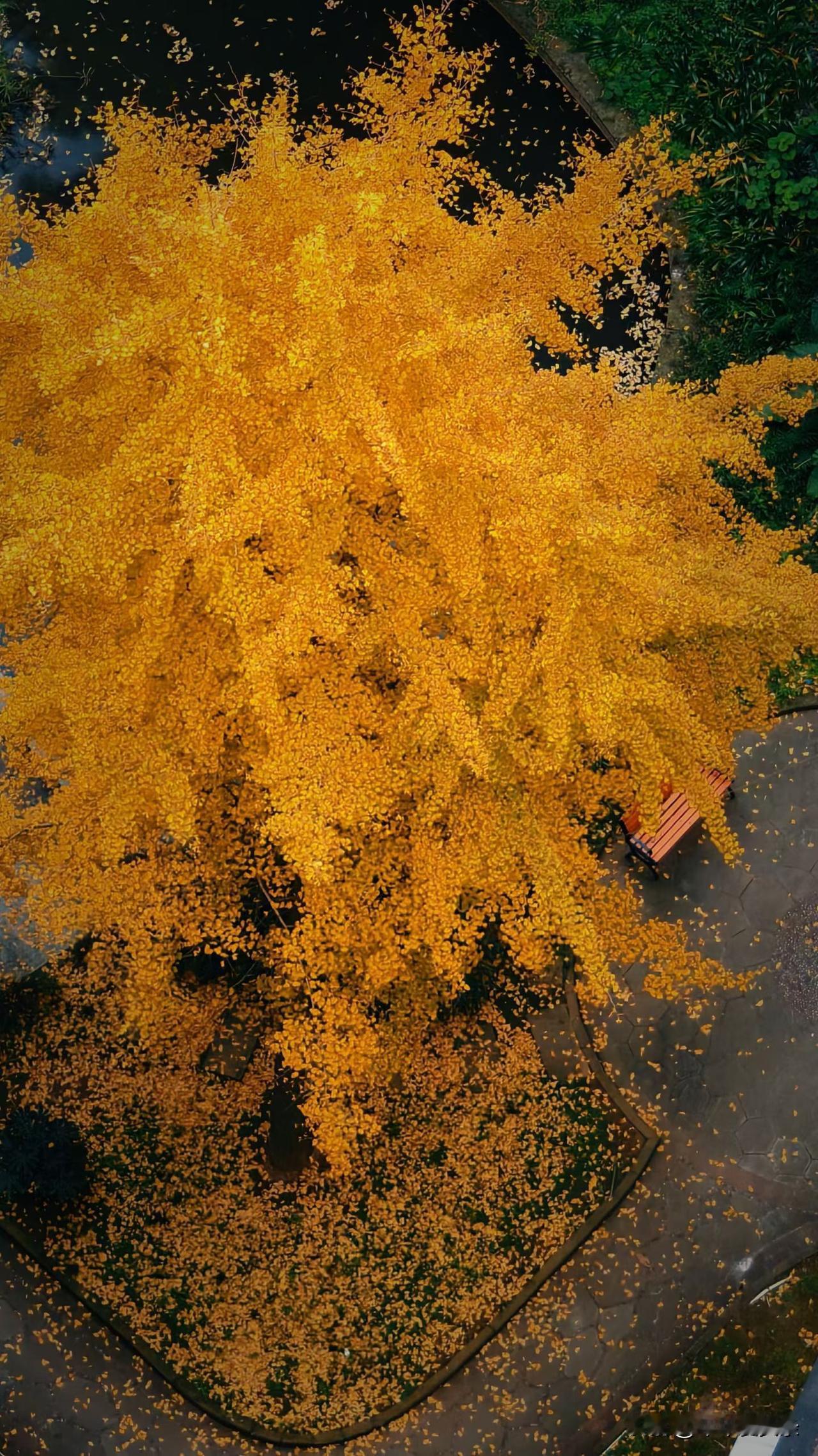 2026最想实现的一件事人民币追着我跑[呲牙][呲牙][呲牙][呲牙][呲牙][