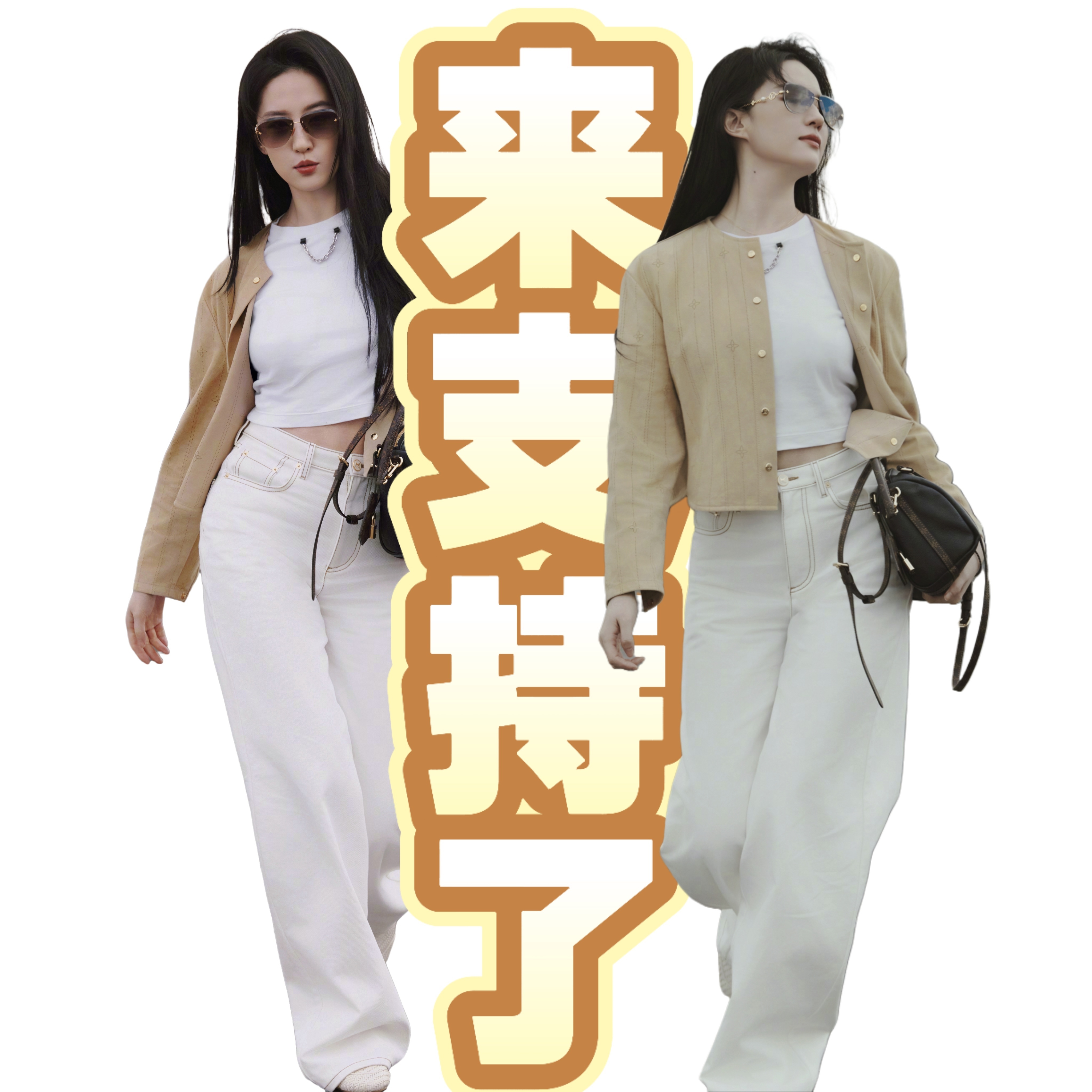 拽姐表情包也好可爱刘亦菲老钱风大片