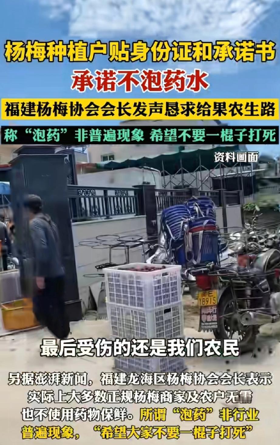 唏嘘了！杨梅这波“自证清白”，看得让人五味杂陈！
 
以前买杨梅就挑个大的、新鲜