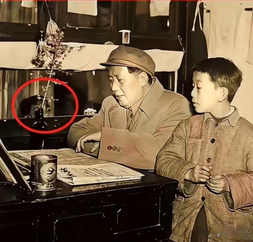 🍁仔细看，红圈里藏着一双亮晶晶的小眼睛。1958年5月1日杭州小营巷，毛主席走