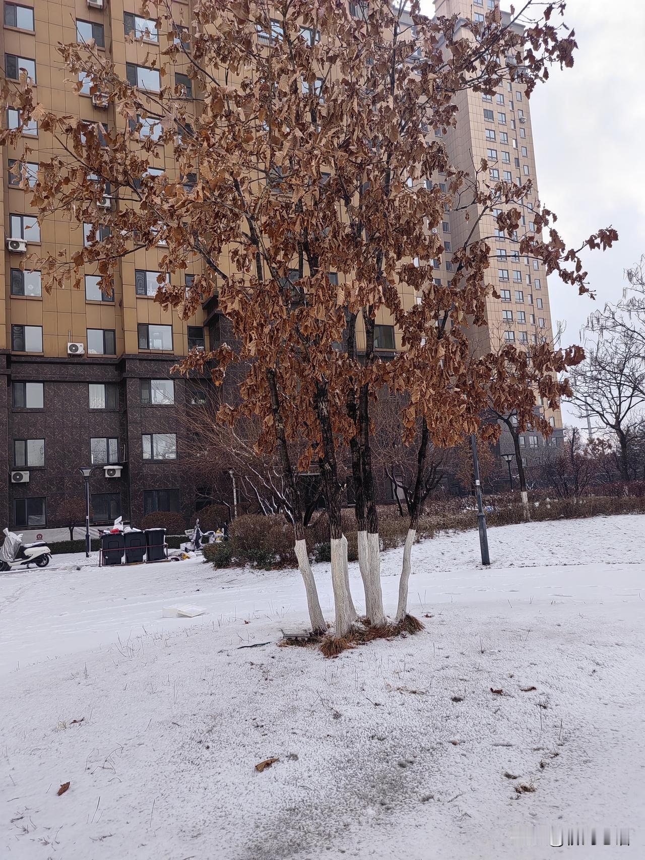 “你那么高的退休金都存不下钱，让我们这些开3000多的咋活？”

公交车上听到几